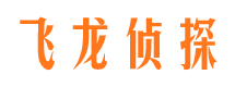 带岭侦探